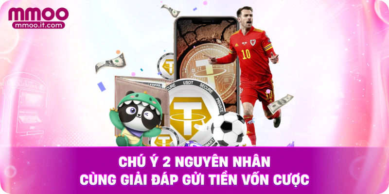 Chú ý 2 nguyên nhân cùng giải đáp gửi tiền vốn cược