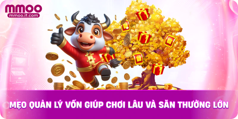 Mẹo quản lý vốn giúp chơi lâu và săn thưởng lớn